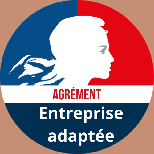 Logo agrément Entreprise adaptée-2
