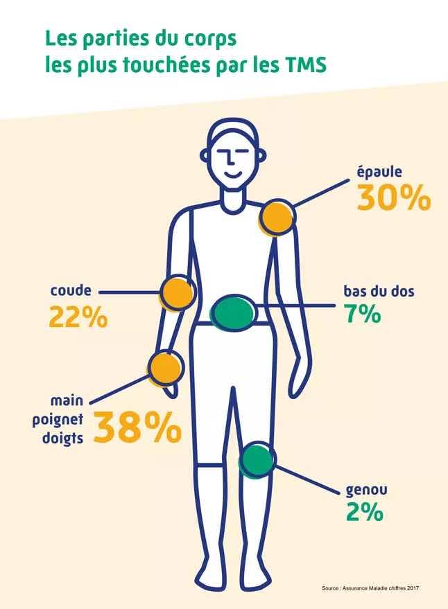 Les parties du corps les plus touchées par les TMS
Les troubles musculosquelettiques touchent :
Mains, poignets, doigts : 38 %
Épaules : 30 %
Coudes : 22 %
Bas de dos : 7 %
Genoux : 2 %
Source : Assurance Maladie chiffres 2017